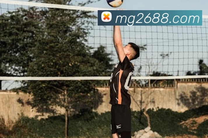 体育App